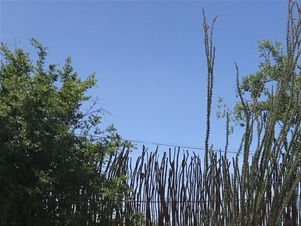 BootHill Cemetary