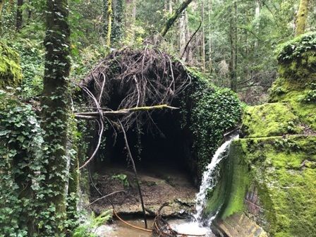 Tunnel entrance to Wrights station